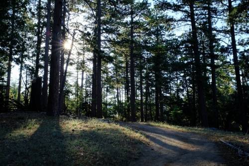 San Jacinto Mountain, CA