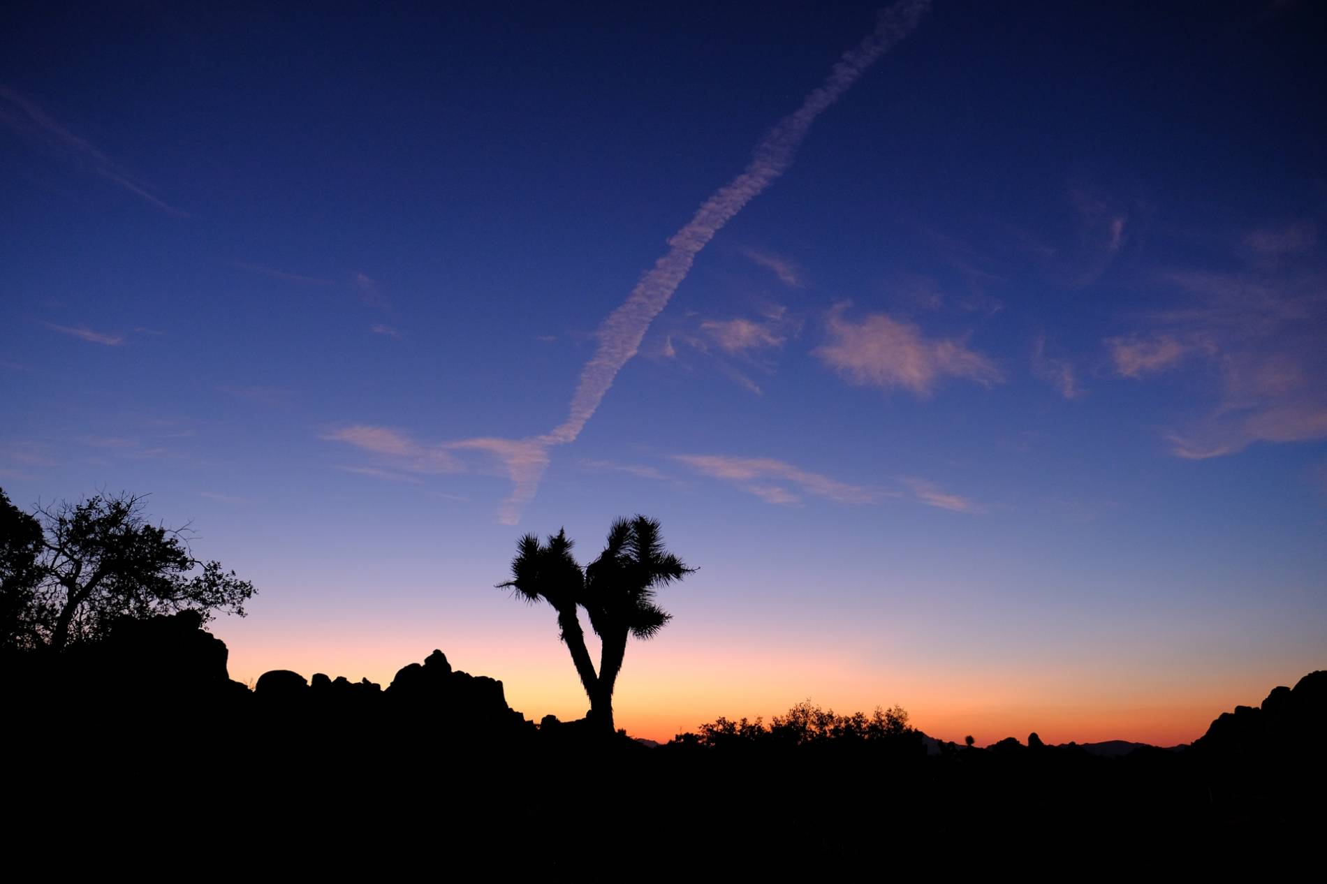 Joshua Tree National Park, CA - XF 16mm