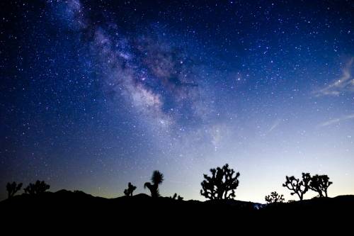 Joshua Tree National Park, CA - XF 16mm