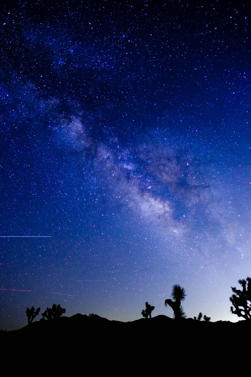 Joshua Tree National Park, CA - XF 16mm