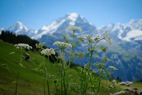 Gimmelwald, Switzerland