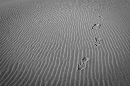 Coral Pink Sand Dunes, Utah