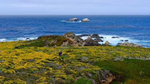 Big Sur, California