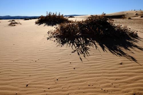 Coral Pink Sand Dunes, Utah